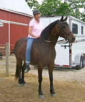 A person wearing a helmet and pink shirt is sitting on a brown horse near a white trailer and a red barn.