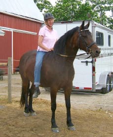 A person wearing a helmet rides a dark brown horse outside, with a red barn and horse trailer in the background.