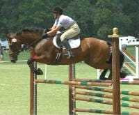 A rider on a brown horse jumps over a high barrier during an equestrian event, with green grass and trees in the background.