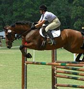 A rider in a white shirt and helmet is jumping over a wooden fence on a brown horse in an outdoor equestrian competition.