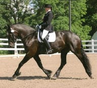 A person dressed in formal riding attire is seated on a dark horse performing a dressage routine in an outdoor arena with a white fence and trees in the background.