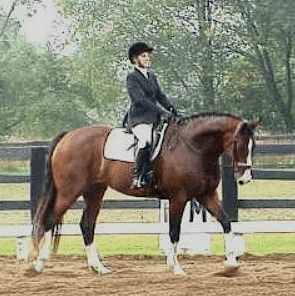 A person riding a brown horse in an outdoor equestrian arena, wearing formal riding attire including a helmet, coat, and tall boots. The background features trees and a wooden fence.