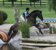 A person in riding gear is jumping a black horse over an obstacle in a grassy equestrian course with water hazards.