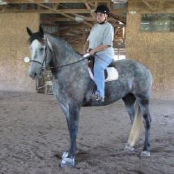 A person wearing a helmet and casual clothing rides a gray horse inside an indoor riding arena.