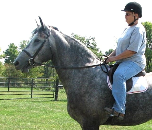 A person wearing a helmet and casual attire sits on a gray horse in an outdoor setting.