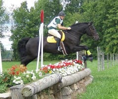 A person is riding a black horse that is jumping over a colorful flower bed and wooden fence during an outdoor equestrian event.