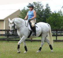 A person riding a white horse in a grassy area with a fence and trees in the background.