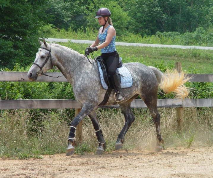 A person wearing a helmet and a blue top is riding a dapple-gray horse in an outdoor enclosure with wooden fencing.