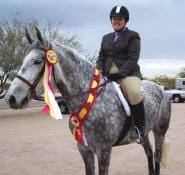 Person wearing a helmet and riding attire is seated on a gray horse adorned with multiple ribbons, likely indicating awards. The background includes a cloudy sky and parked vehicles.