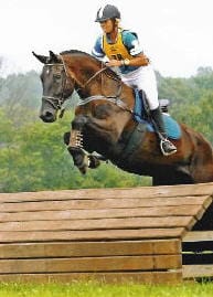 A person in equestrian attire rides a dark horse over a wooden obstacle in an outdoor setting.