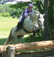 A person wearing a purple outfit and helmet rides a gray horse as it jumps over a wooden obstacle in an outdoor setting.