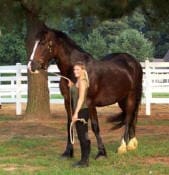 A woman stands next to a large dark brown horse, holding its reins, in an outdoor area with grass and trees, near a white fence.