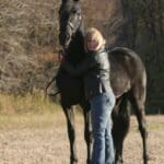 A person wearing a jacket and jeans hugs a tall, black horse in a field with autumn trees in the background.