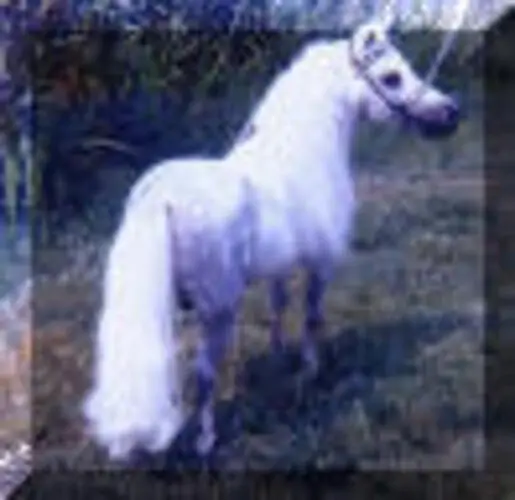 A white horse with a flowing mane and tail stands on a grassy area, facing away from the camera.