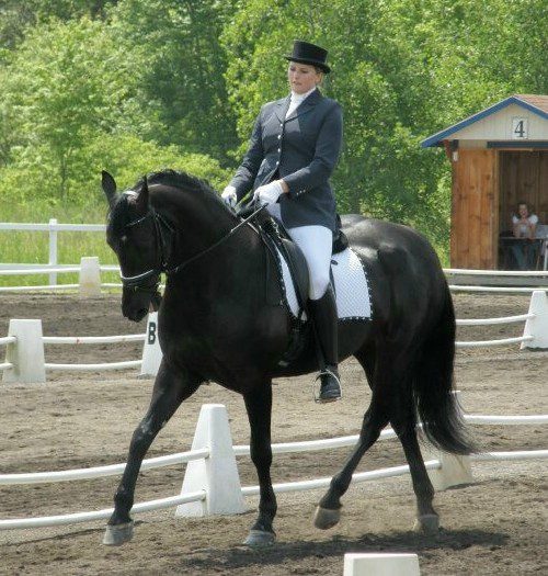 Prince of Thieves-Dressage-June2010-crp